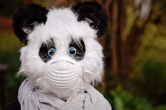 Casino Cyber Bingo Suporte